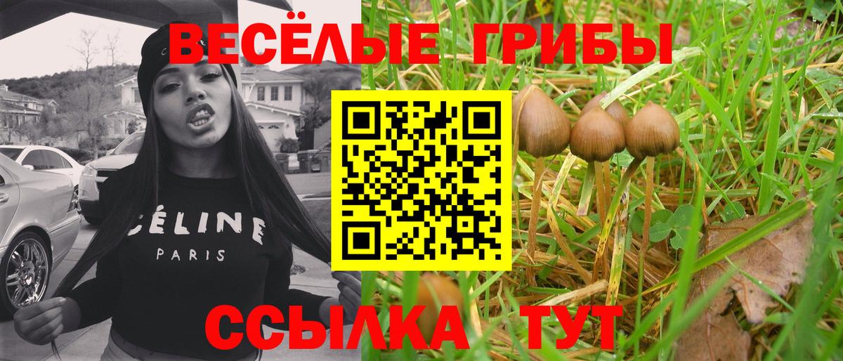 Галлюциногенные грибы Magic Shrooms Каменск-Шахтинский
