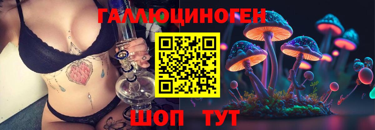 где найти   Вход с VPN  Каменск-Шахтинский  Галлюциногенные грибы Psilocybe  Галлюциногенные грибы прущие грибы 